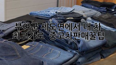 부여군 세도면에서 내 차 최고가로 🚗💨 #중고차판매꿀팁